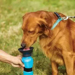 Pet Sipper Aqua Water Pump Bowl Pet